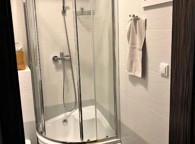 公寓 Apartament Love Gory Centrum 卡尔帕奇