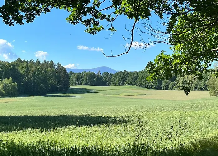 Apartament Love Gory Centrum 아파트 *